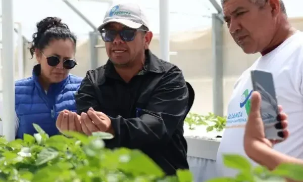 Campesinos recibiendo asesoría y tutoría