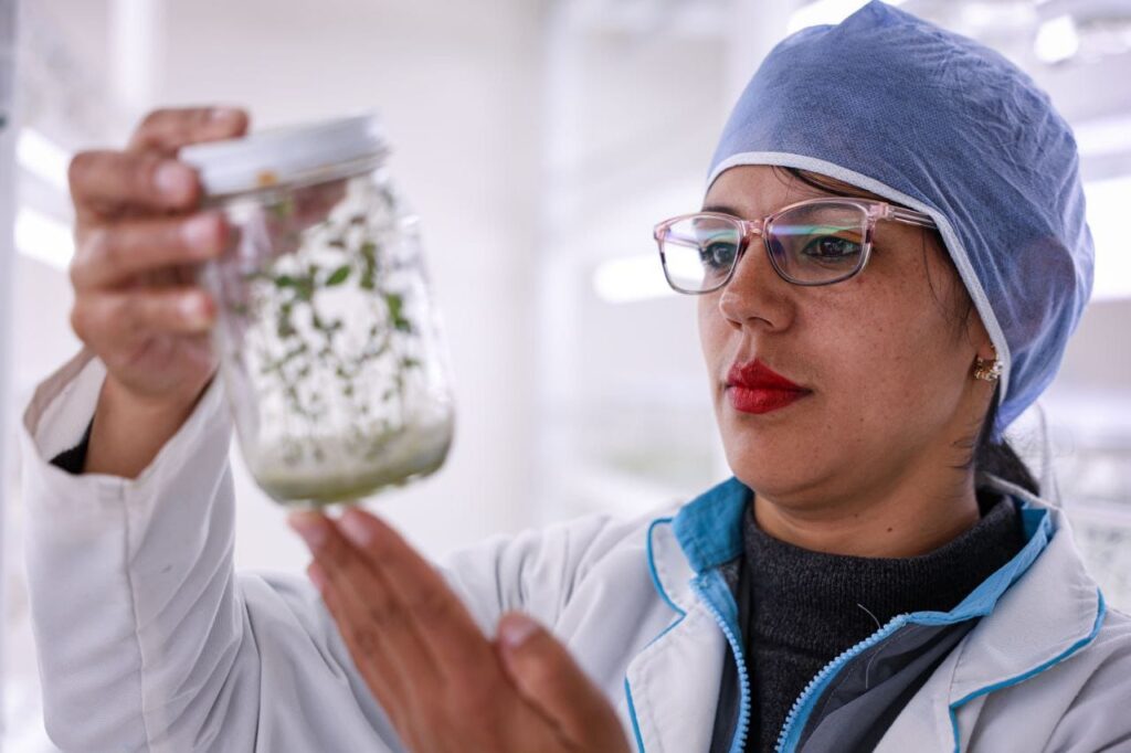 Centro Biotecnológico para la Formación en la Producción de Semillas Agámicas (Cebisa)