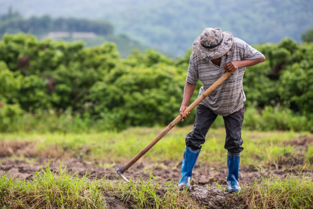 Día Mundial de la Agricultura, de la productora y del productor agropecuario