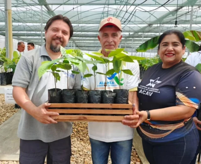 🇻🇪 ¡Ciencia y Tecnología al servicio de nuestra Soberanía Alimentaria!

En el marco de la Alianza Científico-Campesina, ACAV realizó una exitosa Jornada de Entrega de Plántulas Fortificadas en el estado Barinas.

Entregamos más de 7.800 plántulas de café, cacao criollo moderno y musáceas a 50 productores y productoras, fortaleciendo sus cultivos con micorrizas nativas, consorcios microbianos y Trichoderma sp.

🔬 Estos protocolos científicos no solo buscan mejorar la sanidad vegetal, sino asegurar la sostenibilidad y productividad de nuestros agroecosistemas clave.

 ¡Seguimos impulsando la producción nacional con conocimiento e innovación!