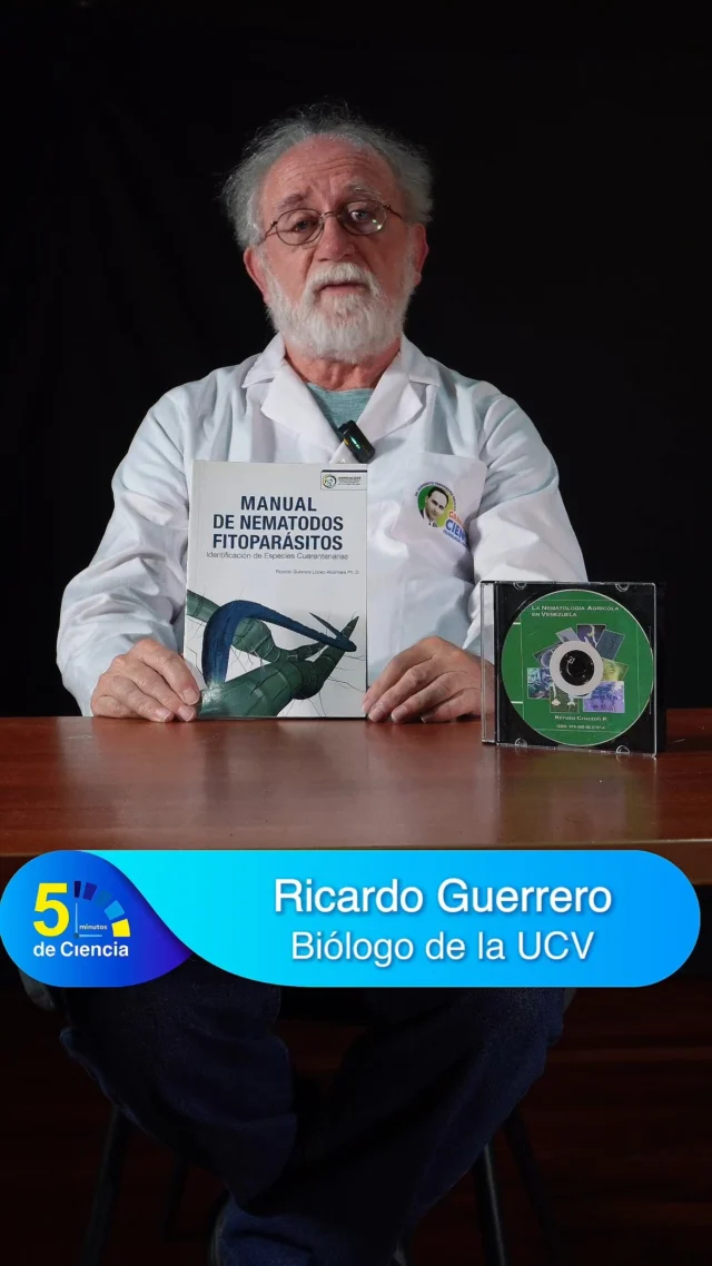 ¿Sabes qué son los nematodos fitoparásitos? 🐛🌱

Son microorganismos que parasitan a las plantas y causan estragos en los cultivos, desde el repollo hasta el maíz. Su ataque compromete la salud de tus plantas y tu producción.

El Biólogo Ricardo Guerrero, de la UCV, te explica su impacto y cómo identificarlos en el campo, viendo esas "bolitas blancas" en las raíces.

Sintoniza todos los martes a las 8pm por nuestro canal de YouTube de @Mincytvenezuela para aprender más sobre este tema y otros avances científicos.

¡No te pierdas "5 minutos de Ciencia"!