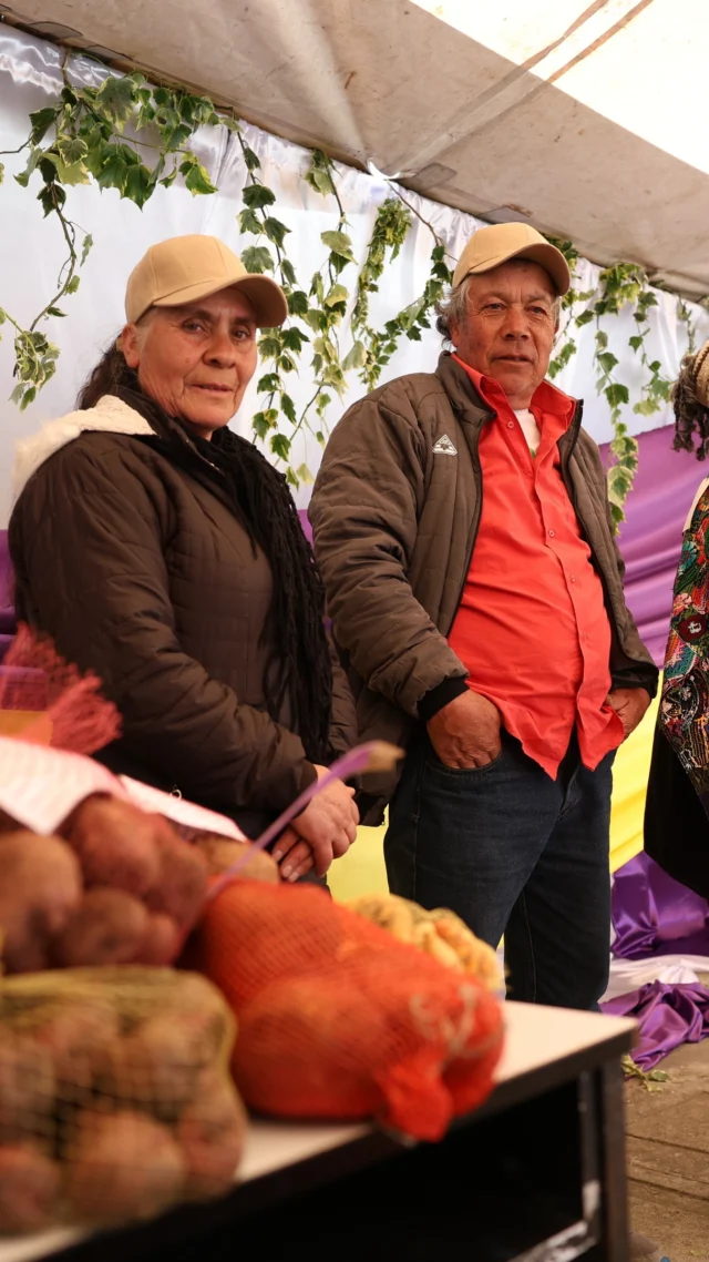 🥔 La papa nativa es referente de resistencia, diálogo de saberes y soberanía alimentaria.

Desde la Alianza Científico – Campesina seguimos celebrando, junto al pueblo de Gavidia, el gran valor que tiene para Venezuela el encuentro de saberes alrededor de este significativo rubro.

❤️ El EcoFestival de la Papa Nativa es tradición, conocimiento y garantía de un pueblo que trabajo por amor a su Patria.