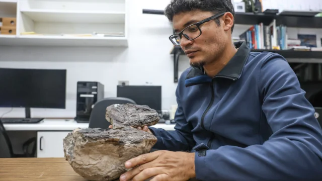 ¡Venezuela: Un viaje al cretácico! ⏳

La geodiversidad de #Táchira nos regala un patrimonio invaluable. La ciencia venezolana ha confirmado el hallazgo de especies fósiles en Lobatera de 100 millones de años.

La Paleontología, al servicio de la reconstrucción de la historia de nuestro planeta, como parte de la agenda científica nacional.

El @Ivic_ve lidera la curaduría, garantizando la preservación de esta riqueza que posiciona a nuestro país.

¡Celebremos el conocimiento que emerge de nuestra tierra!
