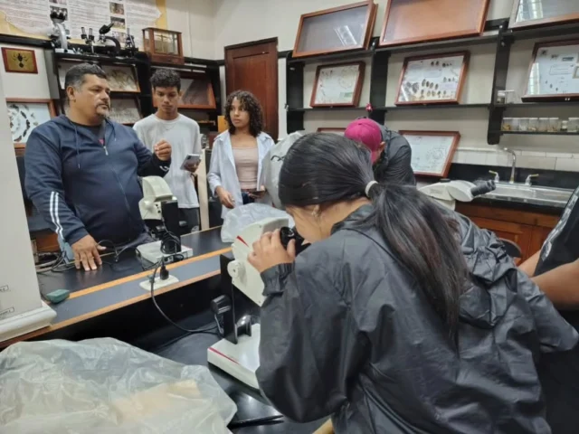 ¡Descubriendo la ciencia que salvó a Venezuela! 🔬✨

Jóvenes del estado Aragua, se sumergieron en la fascinante Ruta Científica del IAES “Dr. Arnoldo Gabaldón”. 

No solo exploraron el mundo de la Entomología, estudio de los insecto, sino que también conocieron el increíble legado del Dr. Gabaldón, el sanitarista que logró erradicar la malaria en gran parte del país.

Desde los "retazos" originales de sus apuntes en la biblioteca histórica hasta los insectos en el museo, estamos sembrando la vocación científica para construir el futuro.

#SemillerosCientíficos en acción. ¡La ciencia es la esperanza! 🇻🇪