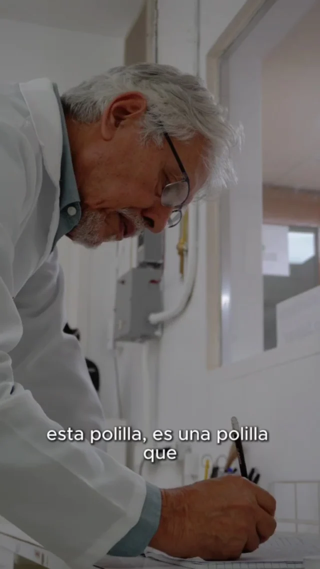 💯 El Dr. Blas Dorta lidera investigaciones de alto impacto nacional que forman parte del Plan Nacional de Ciencia y Tecnología para el Control Integrado de Vectores. 

Junto a su equipo de trabajo impulsó el desarrollo de biocontroladores de producción nacional, totalmente ecológicos, que son aplicados en varios estados del país, con apoyo del Gobierno Bolivariano a través de la Gran Misión Ciencia, Tecnología e Innovación Dr. Humberto Fernández – Morán.

Este plan pionero, además de combatir enfermedades endémicas (dengue, malaria, Zika, chikungunya) de forma efectiva, protege la salud humana y del entorno.

👏 Es una estrategia sostenible que pone a la comunidad en el centro de la solución.