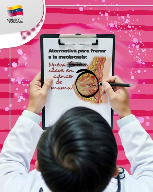 🔬 La identificación de una proteína capaz de frenar el avance del cáncer de mama es noticia en las ciencias.

Estos avances son de gran valor para la comunidad de investigadores e investigadoras que, en Venezuela y el mundo, promueven una ciencia para la vida, una ciencia que transforma.

👉🏽 ¡Desliza y descubre más sobre el tema, con este carrusel!