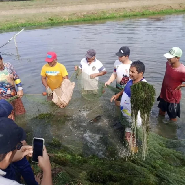🐟 Sector científico acompaña desarrollo de la acuicultura venezolana.

Una visita técnica a la estación piscícola del Cenipa, ubicada en Portuguesa, realizaron investigadores de la Fundación Ciepe para evaluar el manejo especializado de especies reofílicas.

Los expertos se centraron en:

• Ensayos de cría de coporo, cachama blanca, cachama negra e híbridos.
• Técnicas de alimentación basadas en fertilización simbiótica y orgánica en lagunas.
• Protocolos de manejo reproductivo.
• Identificación de zooplancton y fitoplancton.
• Generación de protocolos estrictos de desinfección y control de plantas acuáticas.

🇻🇪🤝 Una labor que se realiza como parte del tercer vértice de la Gran Misión Ciencia, Tecnología e Innovación Dr. Humberto Fernández-Morán.
