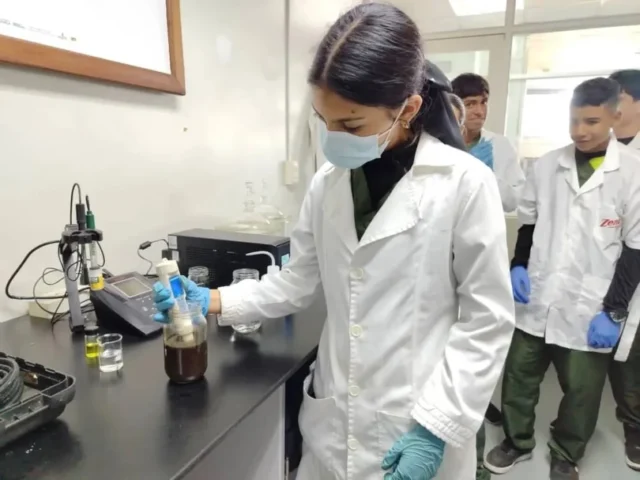 En el marco de la @gmciencia_ve , @fundacioninzit_ve continúa fortaleciendo la formación de la generación de relevo mediante la capacitación práctica en el monitoreo técnico de biol. 🔬

Bajo la guía del biólogo Juan Arias, los pasantes de la Coordinación de Agroalimentación y Ambiente emplean instrumentos de precisión para evaluar parámetros críticos como la temperatura, el pH y la conductividad eléctrica, asegurando así la estabilidad química y la riqueza mineral de este bioinsumo orgánico.🧑🏻‍🔬

Esta iniciativa garantiza que los futuros profesionales dominen no solo la elaboración de fertilizantes ecológicos, sino también la implementación de controles científicos rigurosos. 👩🏻‍🔬

#cienciaparalavida